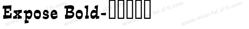 Expose Bold字体转换